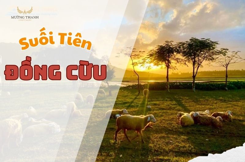 pha-dao-dong-cuu-suoi-tien